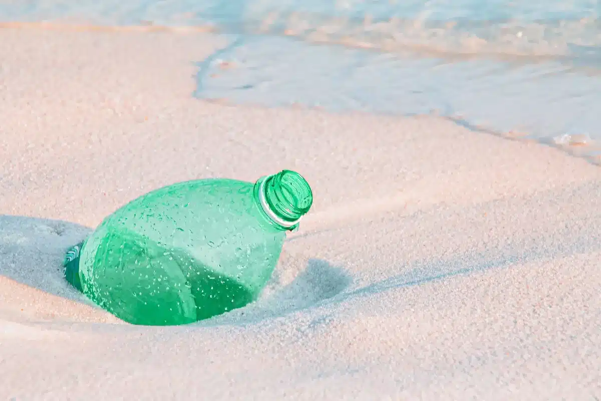 Operarios realizando labores de limpieza y mantenimiento en una playa.