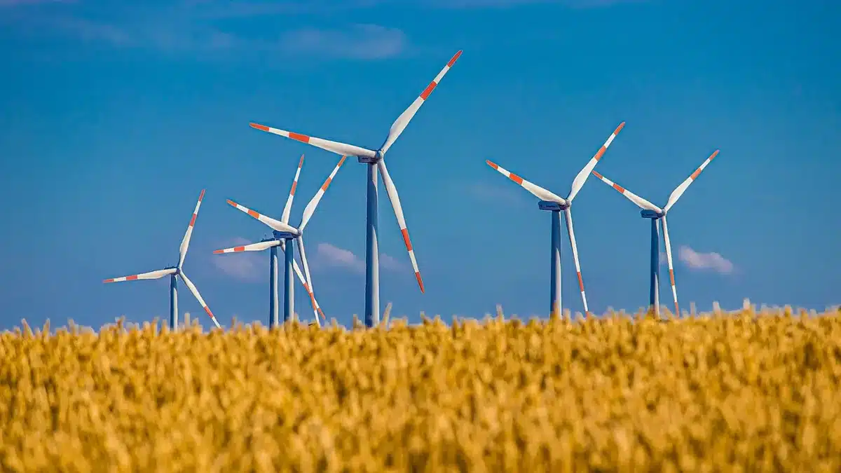Parque industrial rural con paneles solares y aerogeneradores cerca