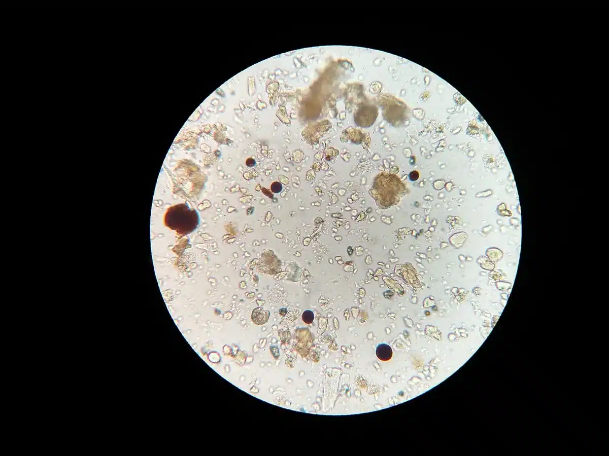 Investigador en laboratorio con muestras pediátricas