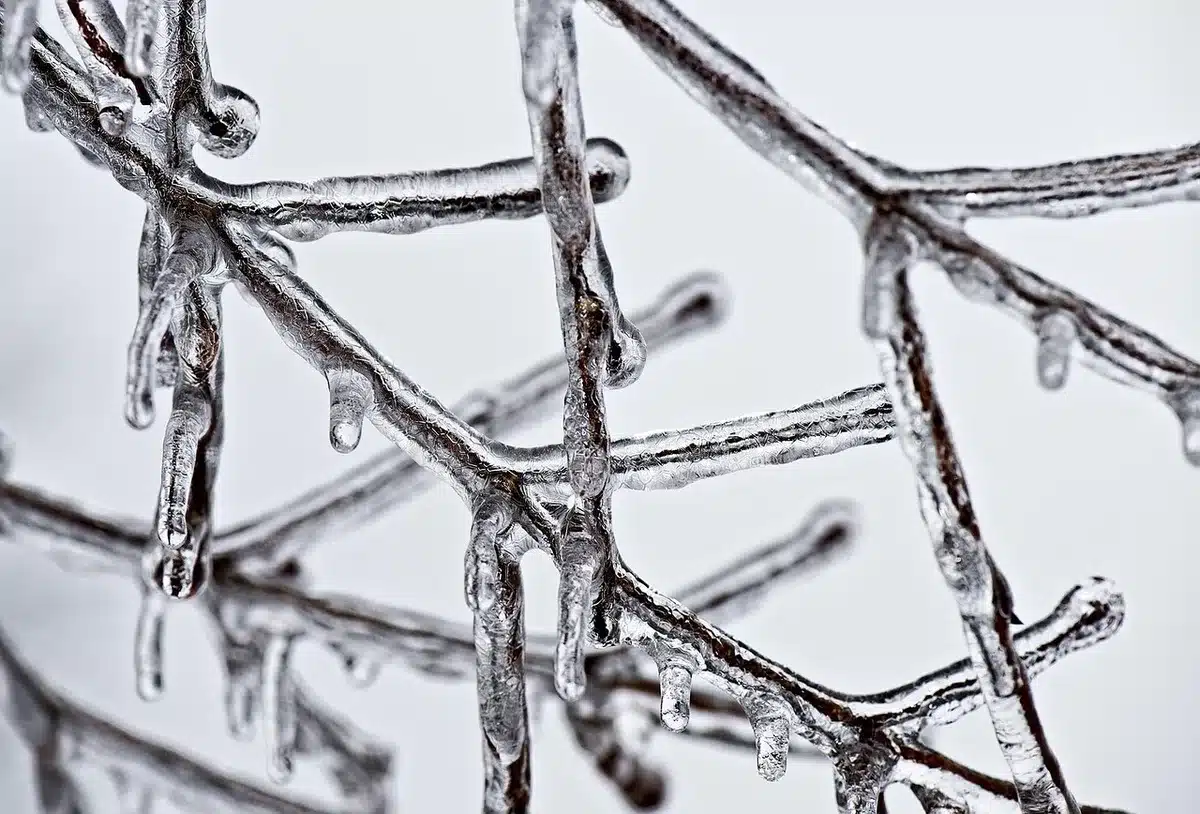 Hielo ártico fragmentado mostrando posibles rutas marítimas emergentes