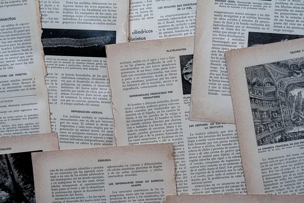 Papeles y expedientes abiertos que simbolizan actuaciones no oídas